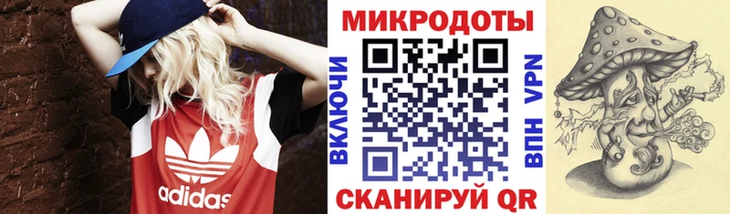 Псилоцибиновые грибы Psilocybe  Армавир 