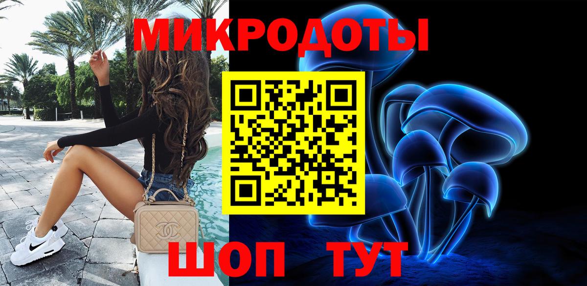 Псилоцибиновые грибы Cubensis Армавир