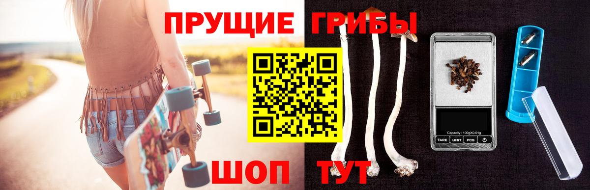 где купить наркотик  Псилоцибиновые грибы ЛСД  Вход с VPN  Армавир  Галлюциногенные грибы ЛСД 